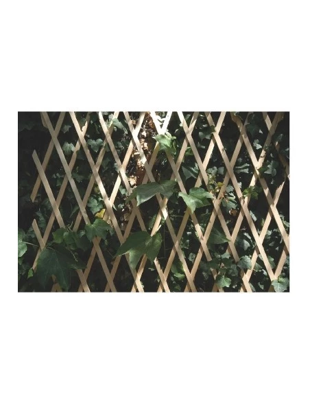 Treillis de décoration murale 1 x 2