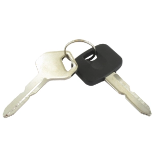 clé de contacteur adaptable stiga pour nombreuses autoportées. remplace origine 118210023/0.