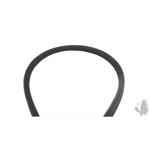 courroie trapézoïdale pour tondeuse ayp - section: 12,7 mm - origine : 180213, 532180213.