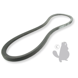 courroie lisse trapézoïdale mitsuboshi série spb (section 16x13mm) longueur ext: 1342m.