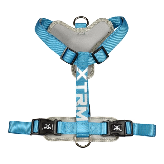 harnais x-trm cronos neon flash bleu, t-m 20 mm x 46-75 cm