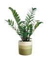 pot colour gradient rond d.18 cm vert bambou - elho bv