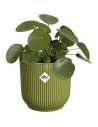 pot vibes fold d.14 cm vert fougã¨re - elho bv