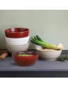fuji poke bowl blanc/terra cotta - amefa medard de noblat