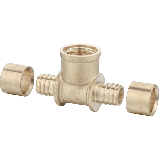 te femelle agliss dn20-1/2-20