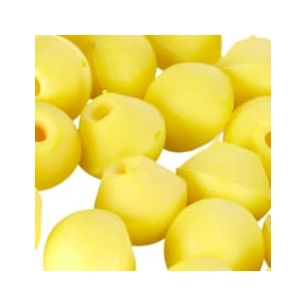 embout de rechange earpods