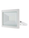 PROJ LED 30W IP65 BLANC