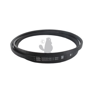 courroie trapézoïdale a 98 origine stiga.