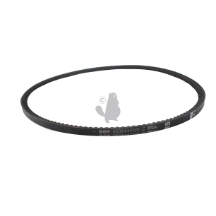courroie crantée pour transmission sur modèle pan504tr, origine stiga.