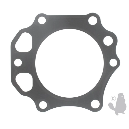 joint de culasse pour moteur kawasaki modèle: fe290 - origine: 11004-2138 ( origine : 110042138 ou 11004-2138 )