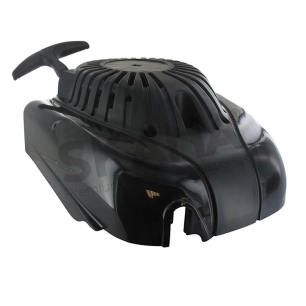 recoil assembly 100cc