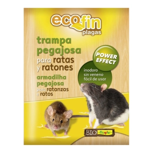 piège collant pour rats et souris, fin