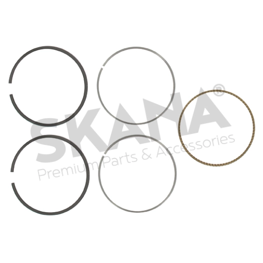 jeu de segment standard pour moteurs briggs & stratton, se monte sur les séries: 091202, 091212 - origine: 790909, 795132.