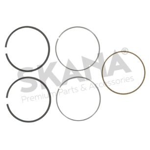 jeu de segment standard pour moteurs briggs & stratton, se monte sur les séries: 091202, 091212 - origine: 790909, 795132.