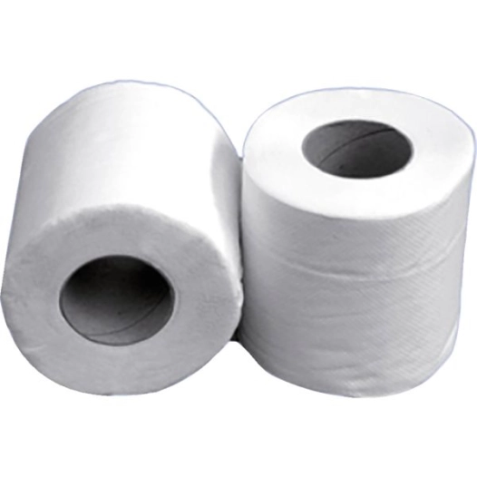 papier hygienique blancstandard 110 formats 2 plis ft 9.2x12.5 cm -colis de 24rlx