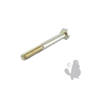 vis m6 x 50mm origine stiga.