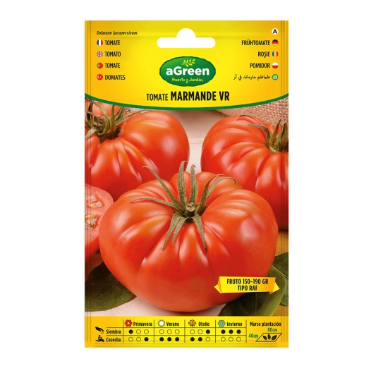 sachet de graines de tomates marmande vr hollande