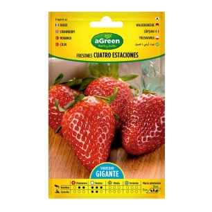 enveloppe contenant des graines de fraises 4 saisons