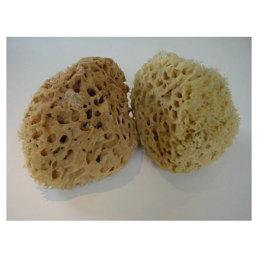 lot de 2 éponges naturelles de mer lot de 2 éponges naturelles de mer - pad