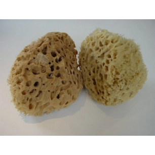 lot de 2 éponges naturelles de mer lot de 2 éponges naturelles de mer - pad