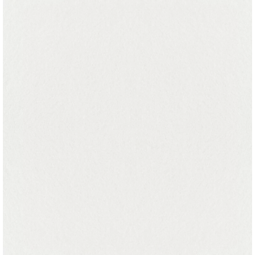 toile de verre lisse peinte blanche - 1 x 25 ml toile de verre lisse peinte blanche - 1 x 25 ml - decor design