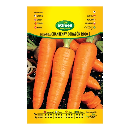 enveloppe contenant des graines de carottes chantenay red heart 2