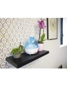 humidificateur ultrasonique claise - air and me - ld