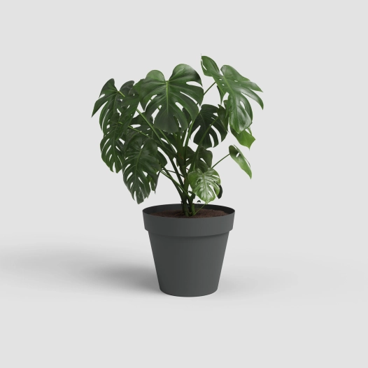 pot capri 30cm terre cuite claire