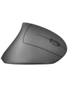 souris ergonomique ss fil.verto.noir. - trust
