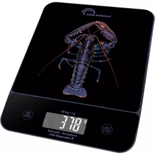 10kg/1g.chgt usb.genius homard. - little balance