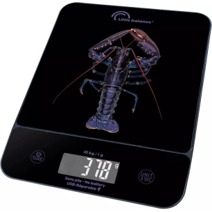10kg/1g.chgt usb.genius homard. - little balance