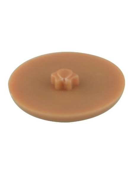 Cache vis plastique beige foncé 4 - 4,5 30 tx20