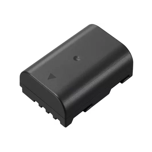 batterie dmw-blf19e - panasonic