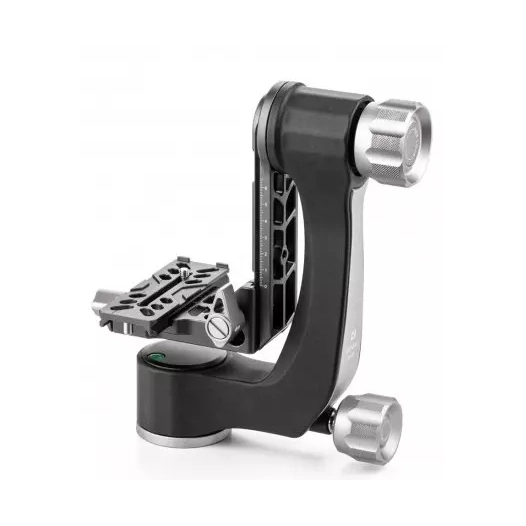 tete pendulaire gh2n - benro