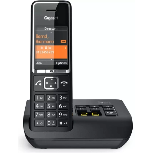 dect.200mem.ml.baby.rep 30mn.nr/chr. - gigaset