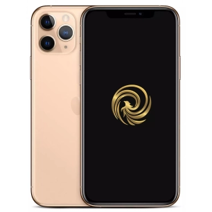 iphone 11 pro 64gb gold grade a - reborn