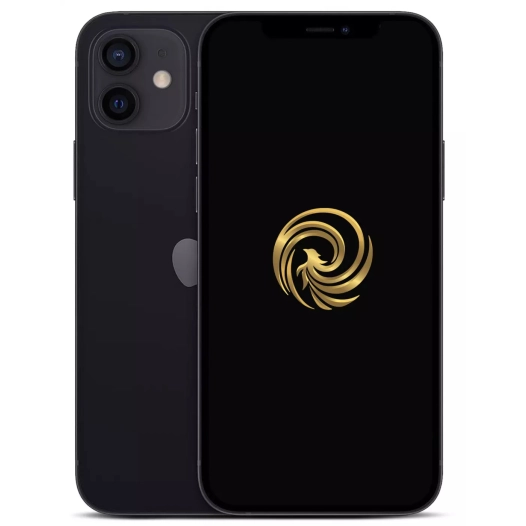 iphone 12 64gb noir grade a - reborn