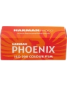 pack 10 phoenix 200 col120 peremp 0626 - harman photo