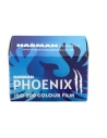 pack 10 phoenix ii 200 colour 135-36 - harman photo