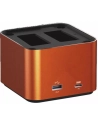 chargeur procube 3 sony - hahnel
