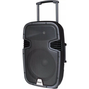 seg.enceinte.130w.2mic.usb/sd/mp3/bt. - rondson