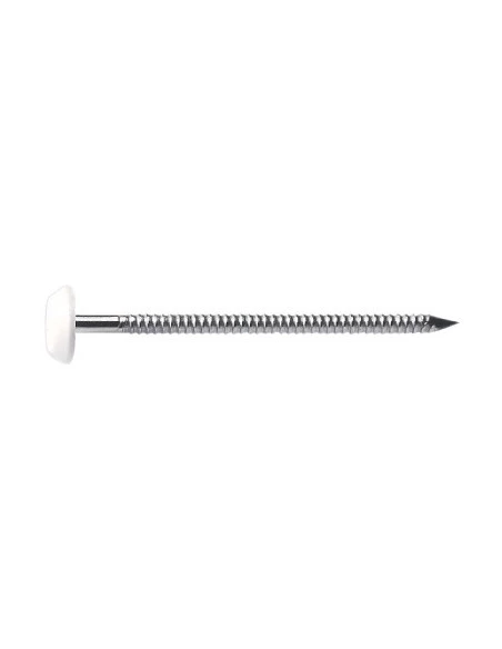 Pointe inox plastop® bg blanc 3,1 x 65 100