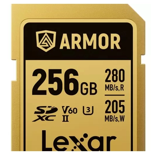 sdxc pro gold armor uhs-ii 256gb v60 - lexar