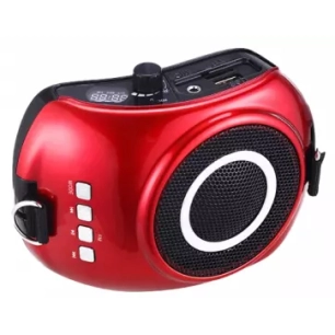 ampli.voix.20w.usb/sd.mic.serre-tête.rou - rondson