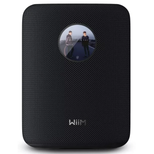 100w.assist.stream.wifi.bt.rj45. - wiim