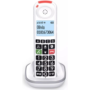 gdes touches.4mem direct.4phot mem.audio - swiss voice