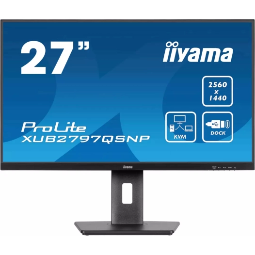 24.ips.2560x1440.hdmi.dp.usb-c.rj45.hau - iiyama