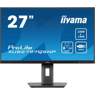 24.ips.2560x1440.hdmi.dp.usb-c.rj45.hau - iiyama
