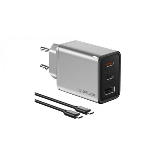 ecoflow rapid 65w gan charger - ecoflow