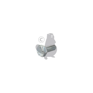 vis à tête hexagonale m5x12mm origine stiga.